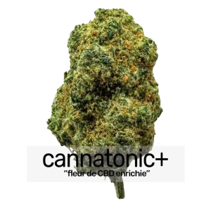 Cannatonic Enriched CBD + Flower