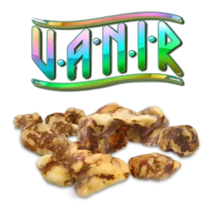vanir psilocybe magic mushrooms