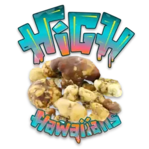 high hawaiians psilocybe tampelandia paddo's