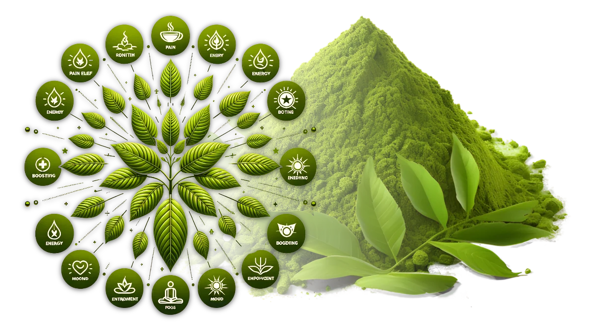 Green leaves and benefits icons with matcha powder hill.