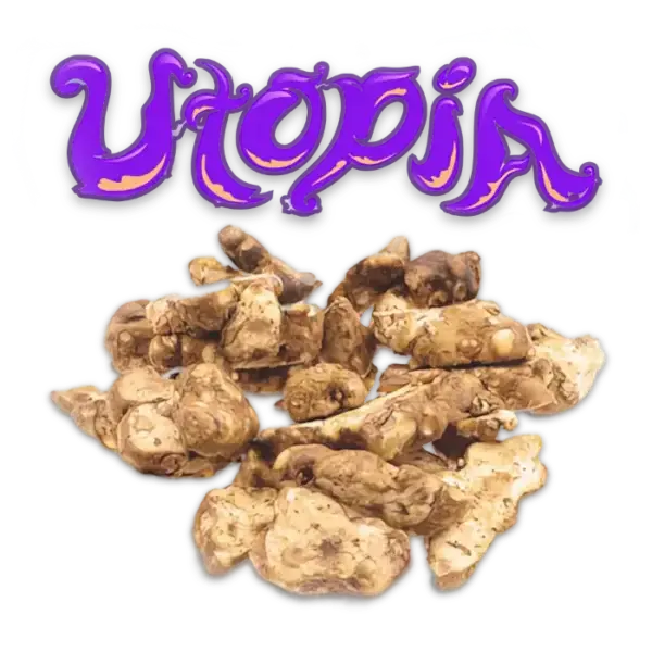 utopia psilocybe magic mushrooms