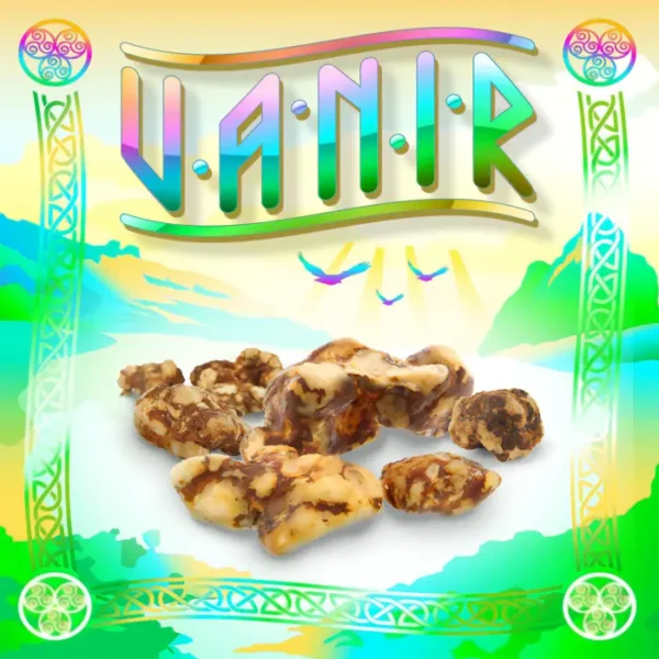 Truffes magiques Vanir Psilocybe